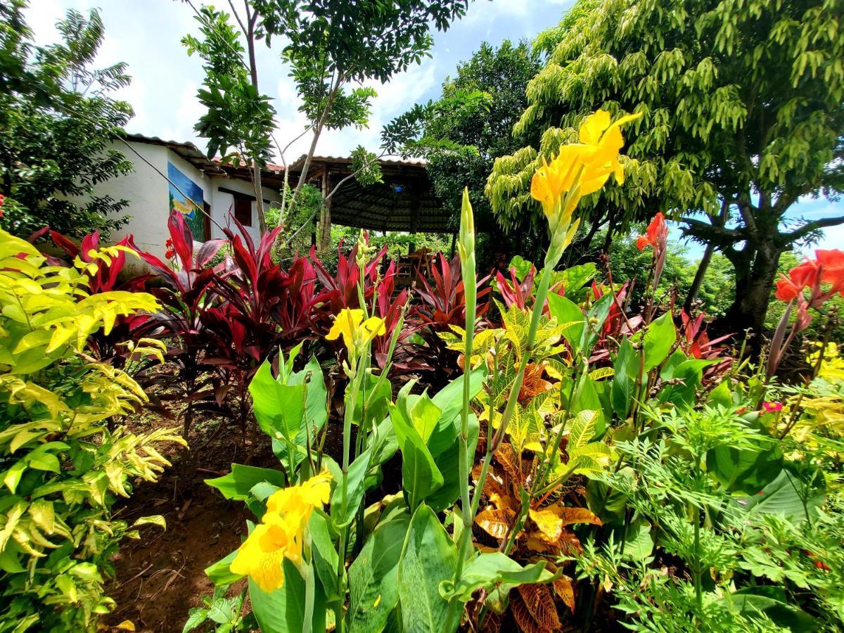 The Jungle Villa Merida Bagian luar foto