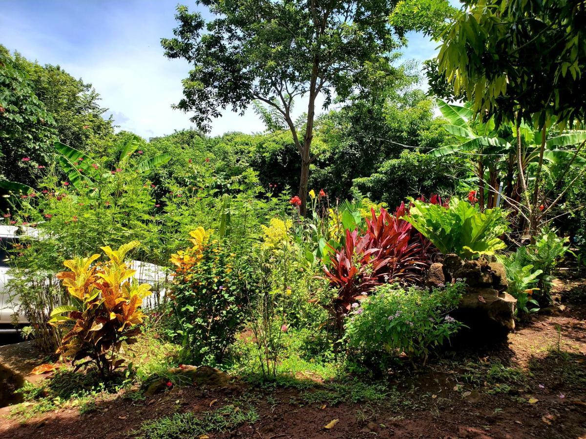 The Jungle Villa Merida Bagian luar foto
