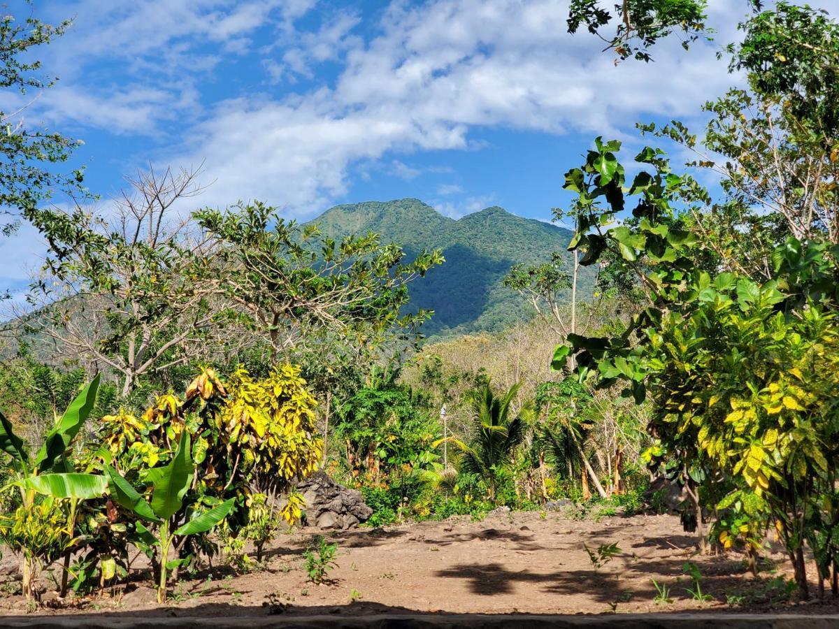 The Jungle Villa Merida Bagian luar foto