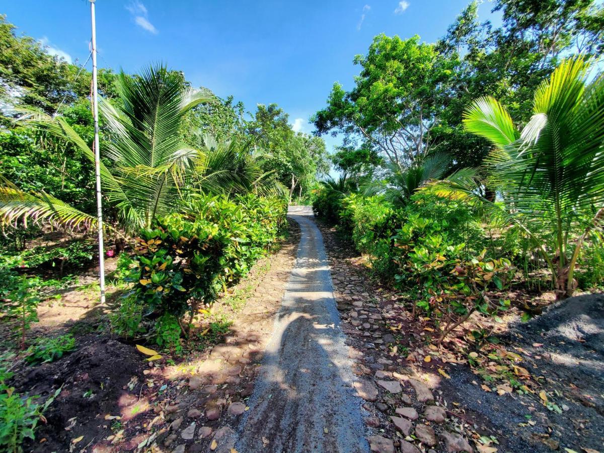 The Jungle Villa Merida Bagian luar foto