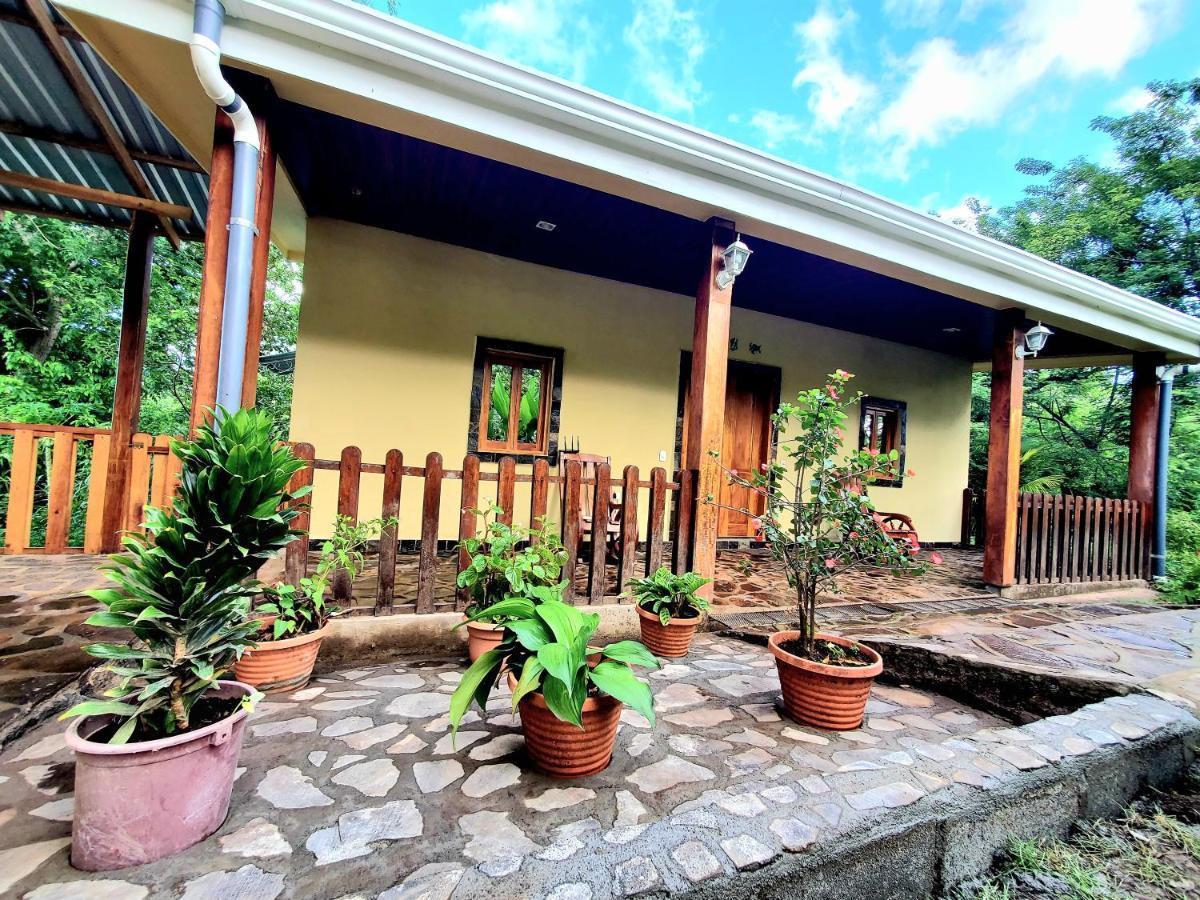 The Jungle Villa Merida Bagian luar foto