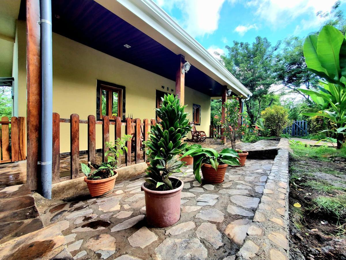 The Jungle Villa Merida Bagian luar foto