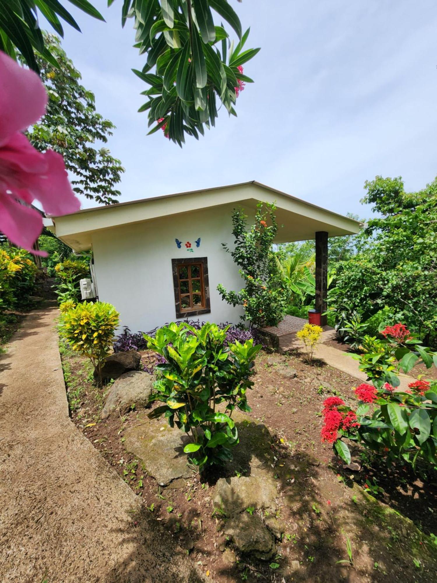 The Jungle Villa Merida Bagian luar foto