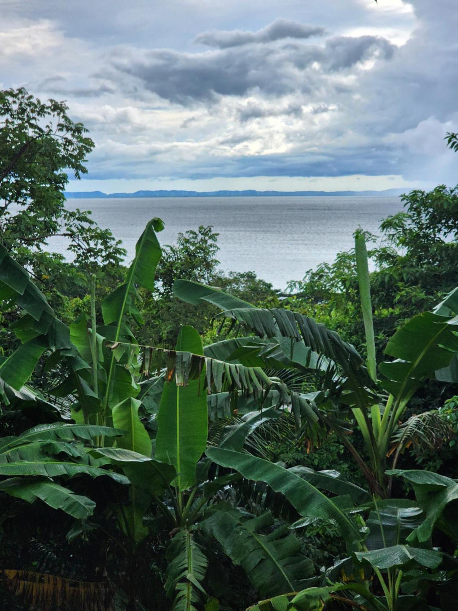 The Jungle Villa Merida Bagian luar foto