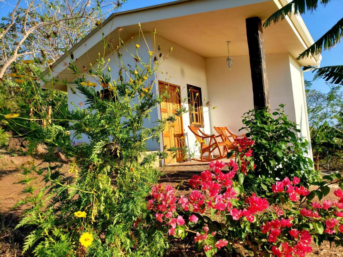 The Jungle Villa Merida Bagian luar foto